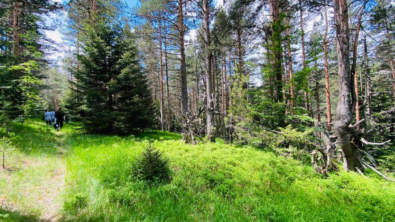 Eco Village Pavlovic Žabljak Extérieur photo