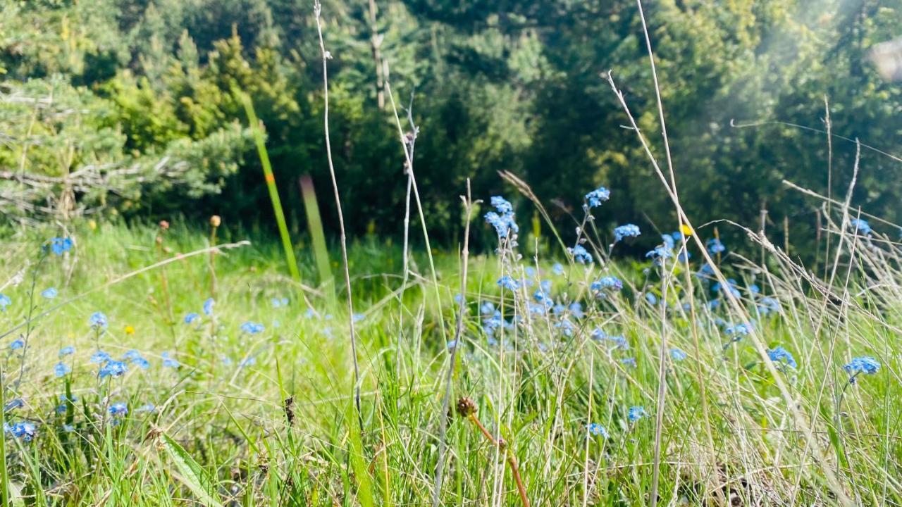 Eco Village Pavlovic Žabljak Extérieur photo