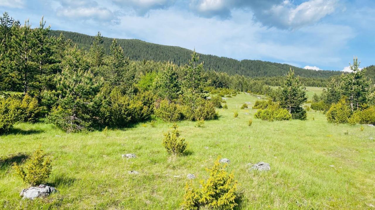Eco Village Pavlovic Žabljak Extérieur photo