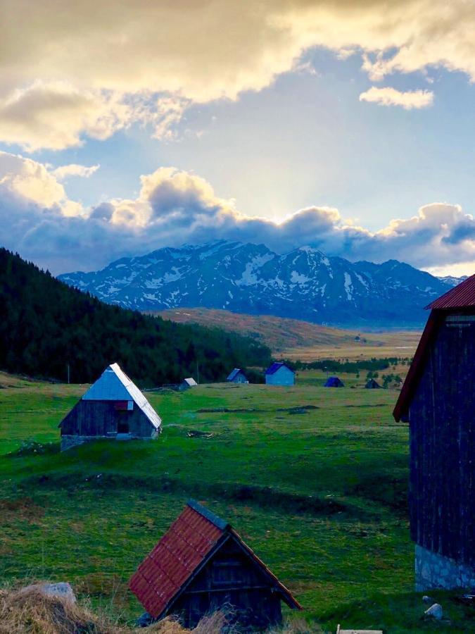 Eco Village Pavlovic Žabljak Extérieur photo